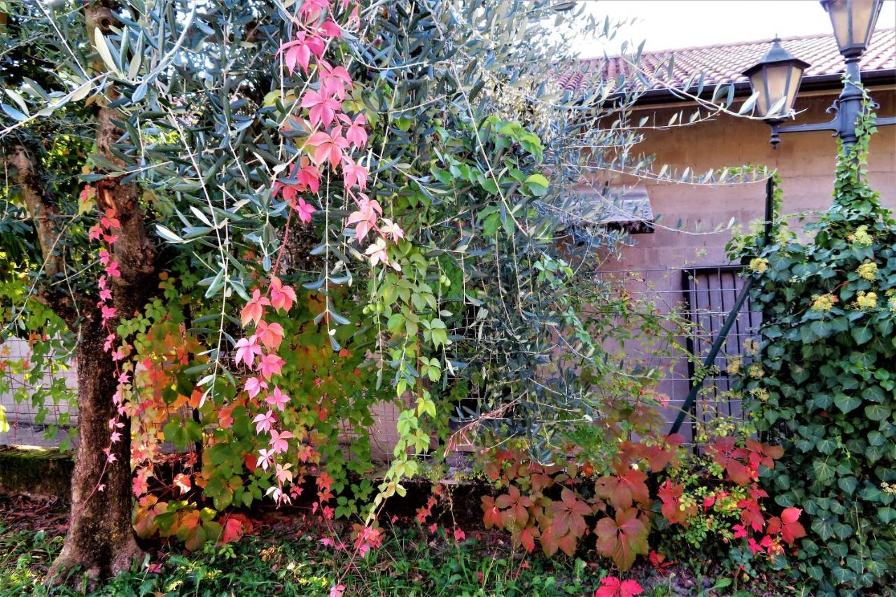 Locanda Alla Posta Borso del Grappa Bagian luar foto